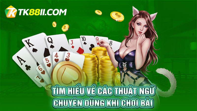 Tìm hiểu về các thuật ngữ chuyên dùng khi chơi bài Phỏm TK88